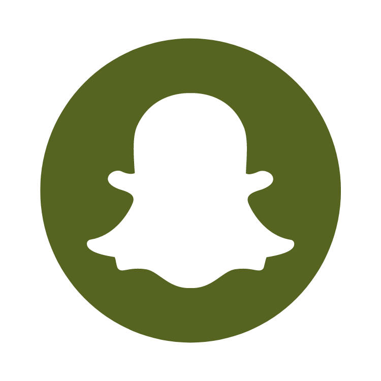 SnapChat icon